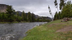 20190519_img_20190519_090753