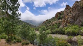 20190526_img_20190526_134941