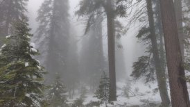 20190527_img_20190527_142848