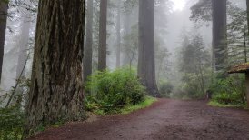 20190530_img_20190530_145938